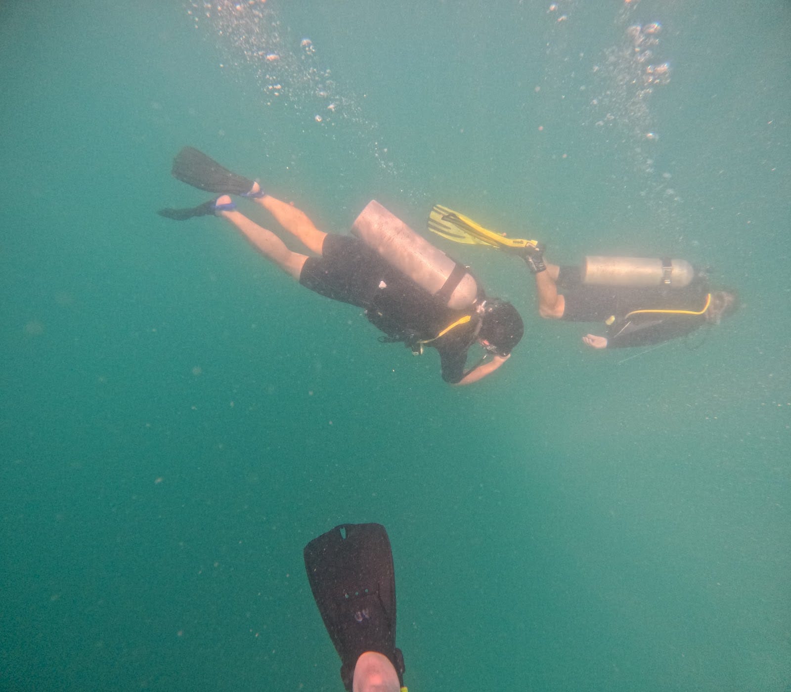 Adventure Divers Pattaya — Activities in Pattaya, Pattaya