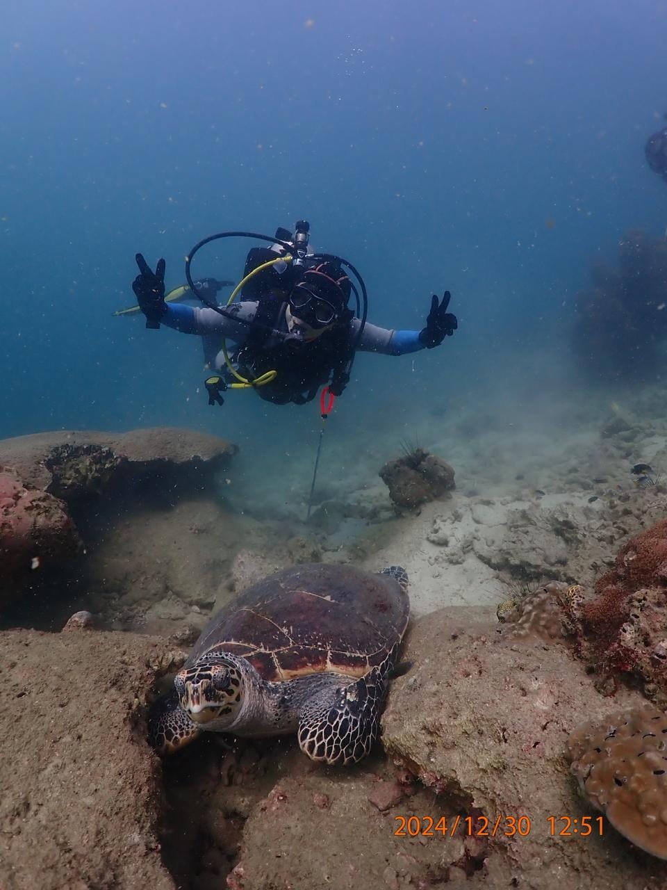 Adventure Divers Pattaya — Activities in Pattaya, Pattaya