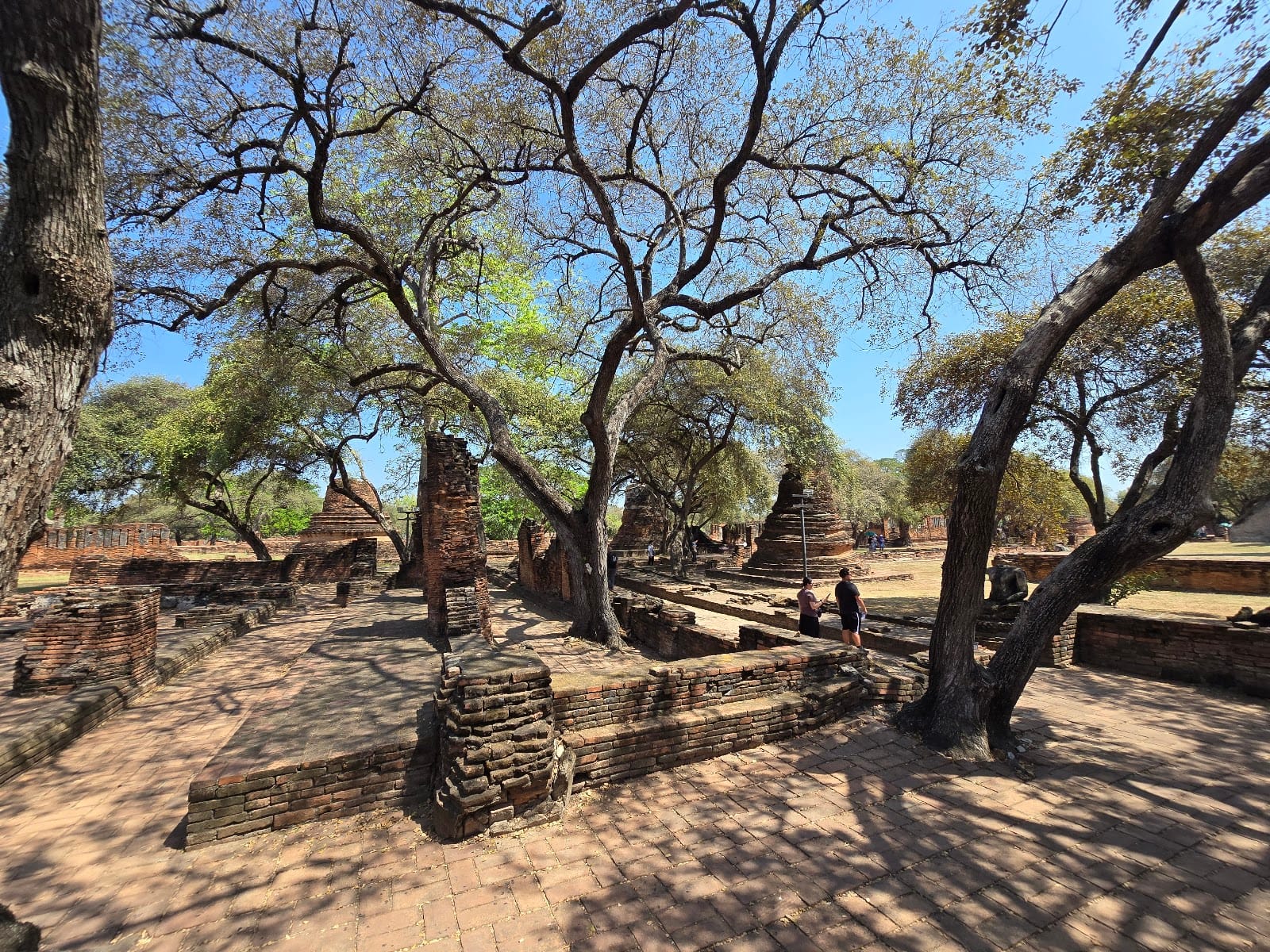 Ayutthaya Historical Park — Road Trips in Ayutthaya, Pattaya