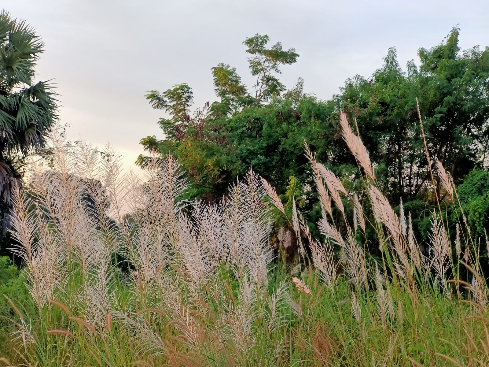 Ban Chang — Day Trips in Ban Chang, Pattaya