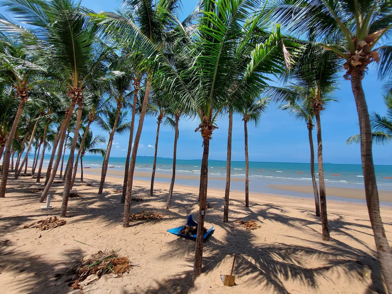 Dongtan Beach — Beaches & Beach Clubs in Pattaya, Pattaya
