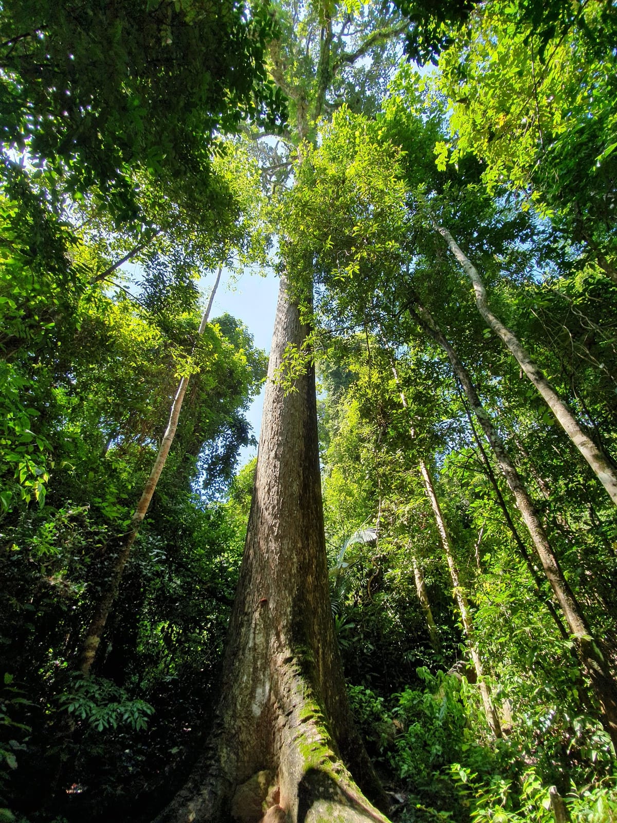 Khao Chamao-Khao Wong National Park — Road Trips in Rayong, Pattaya