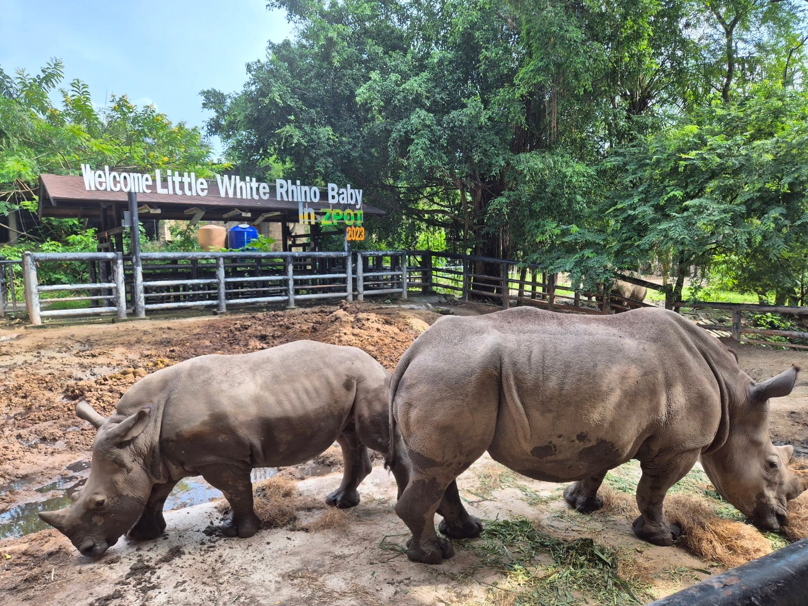 Khao Kheow Open Zoo — Family & Kids in Bang Phra, Pattaya