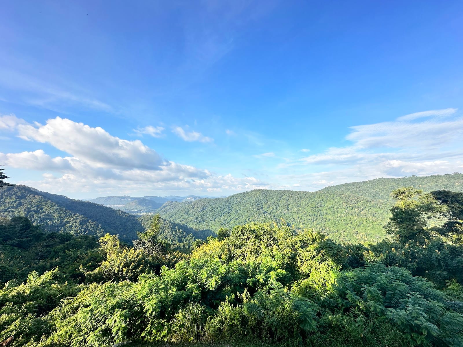 Khao Yai National Park — Road Trips in Khao Yai, Pattaya