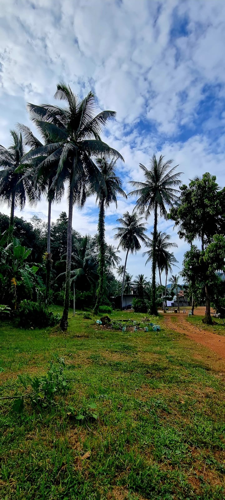 Ko Chang — Road Trips in Trat, Pattaya