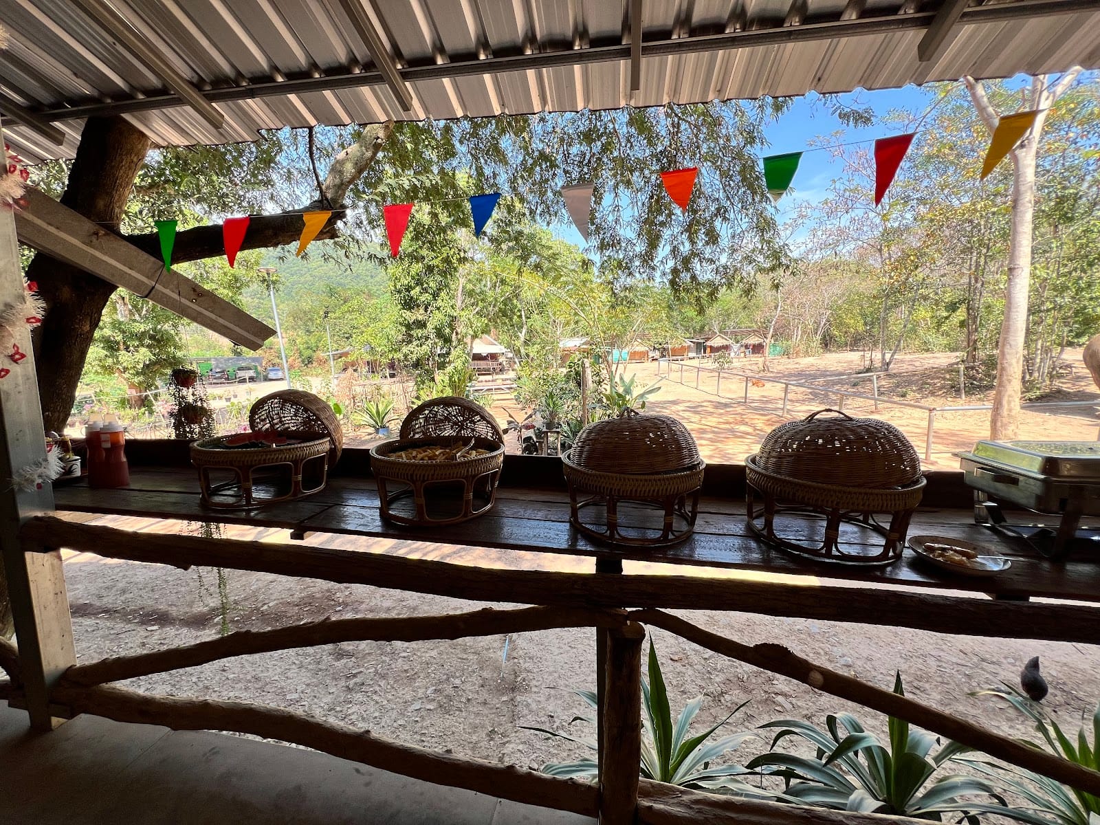 Pattaya Elephant Sanctuary — Activities in Pattaya, Pattaya