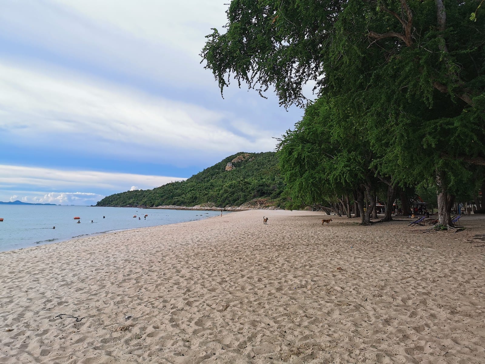 Sai Kaew Beach — Beaches & Beach Clubs in Sattahip, Pattaya