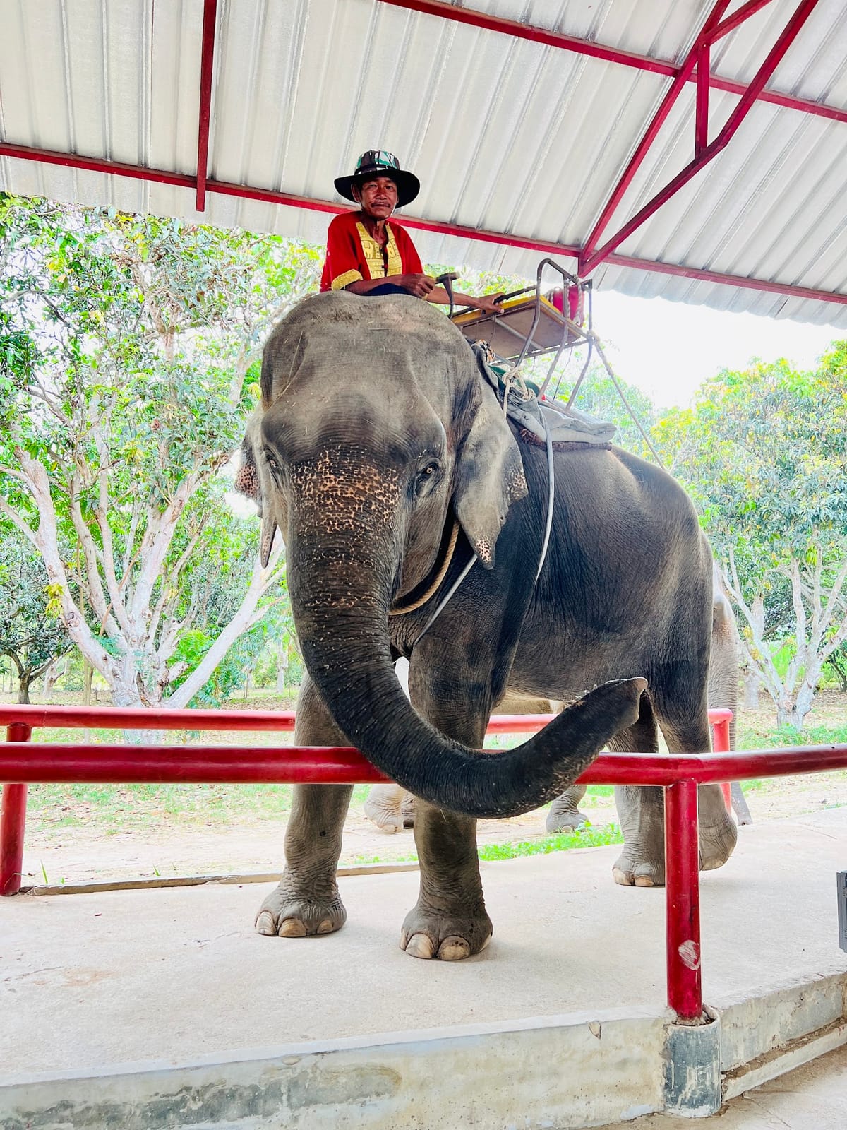 Tarzan Adventure Pattaya — Activities in Na Chom Thian, Pattaya
