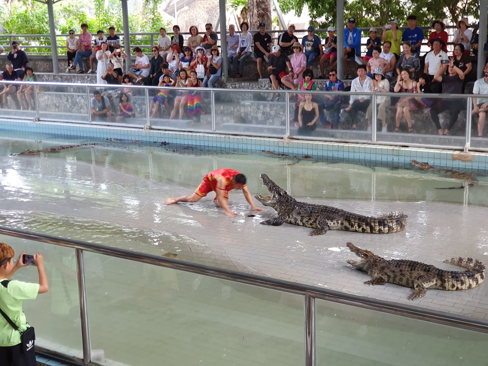 The Million Years Stone Park & Pattaya Crocodile Farm — Family & Kids in Nong Pla Lai, Pattaya