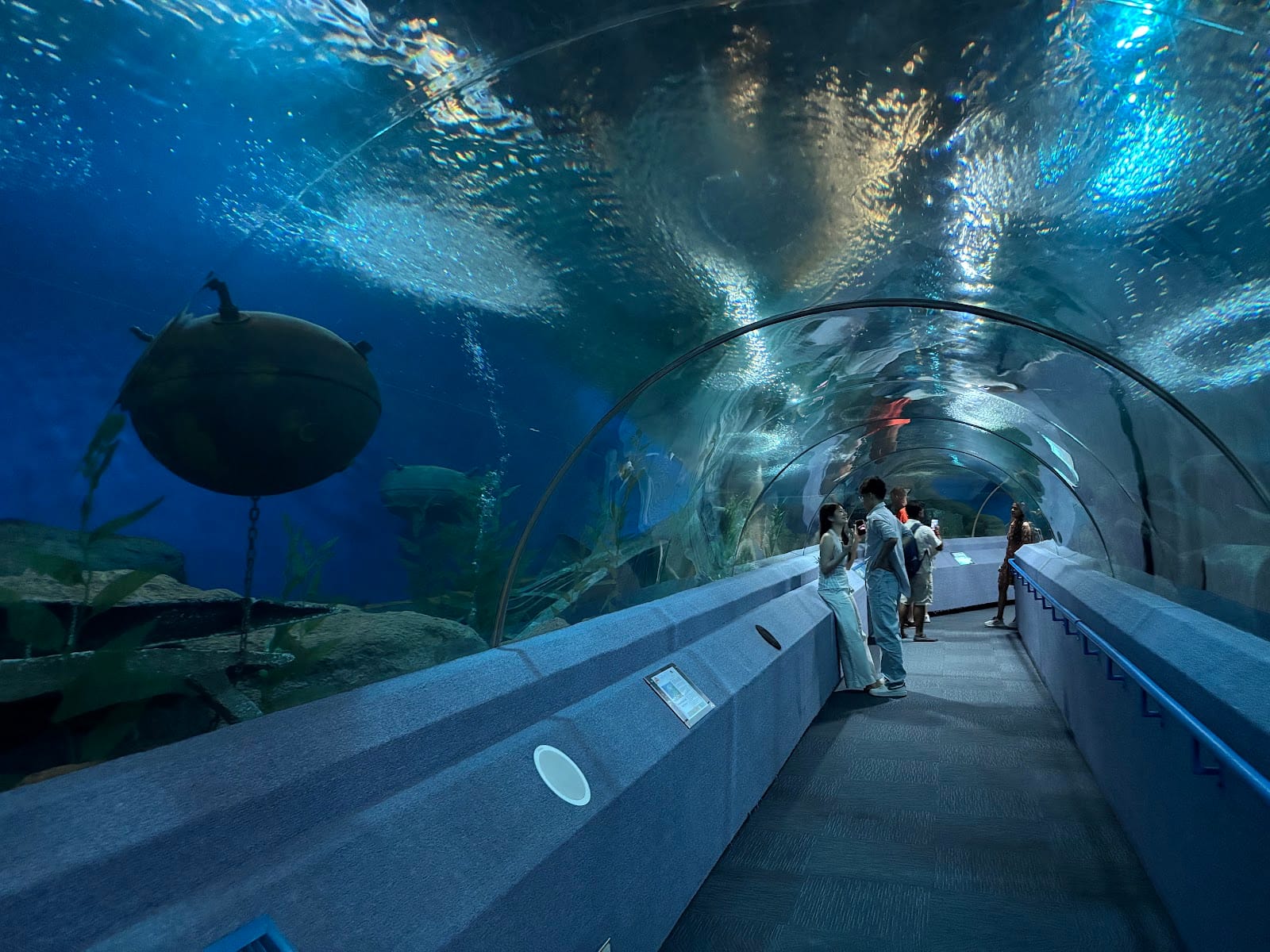 Underwater World Pattaya — Family & Kids in Pattaya, Pattaya