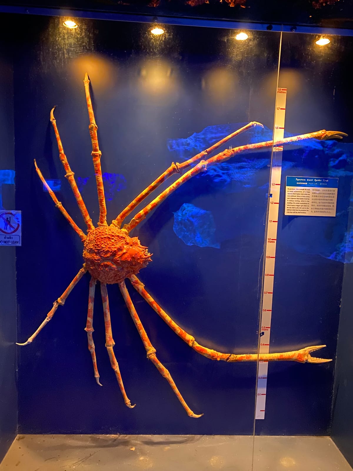 Underwater World Pattaya — Family & Kids in Pattaya, Pattaya